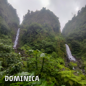 Dominica