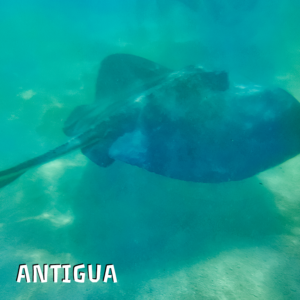 Antigua